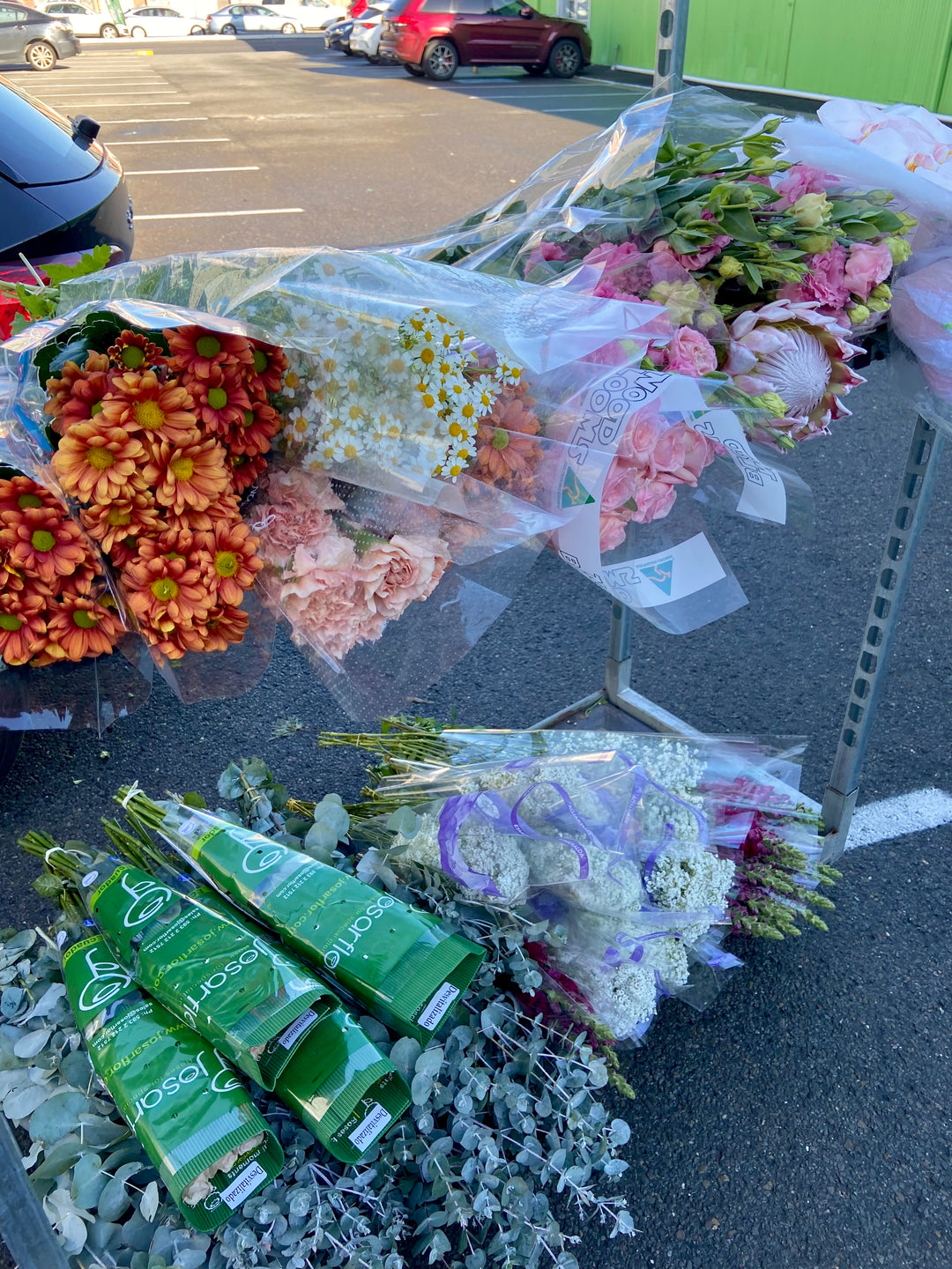 Choose Your Colours