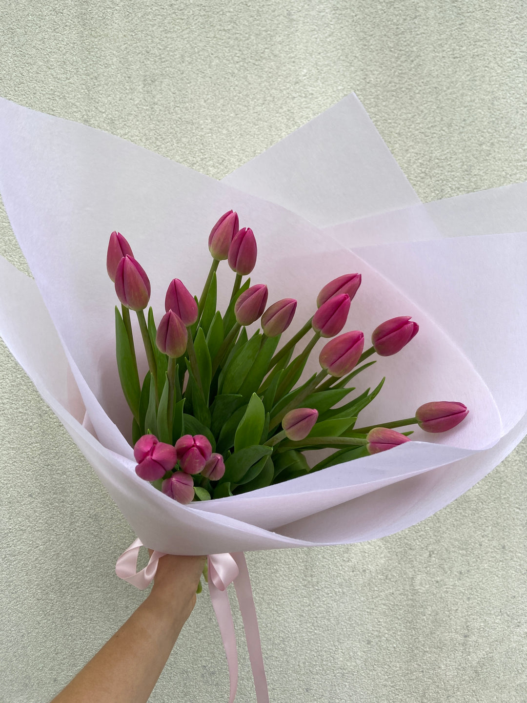 Tulips